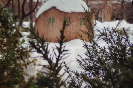 连日来的降雪，天津迎来了一场别样的雪景