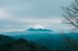 松月樱林(探秘中国三月最美风景——松月樱林)